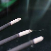 Elevate Common Sage Incense Sticks for Sacred Clearing + Protection