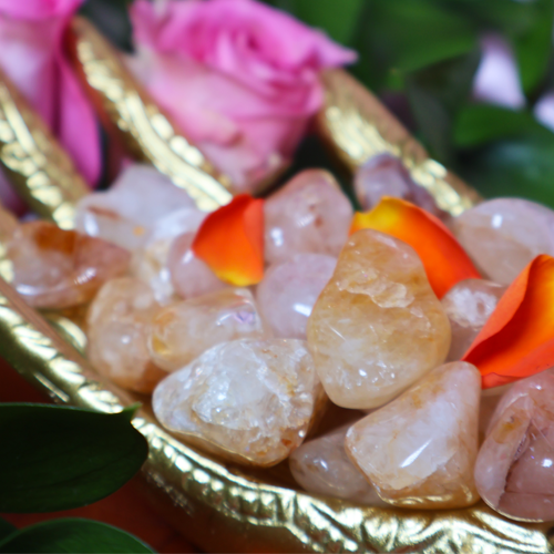 Golden Healer Quartz for Divine Wisdom & Spiritual Healing