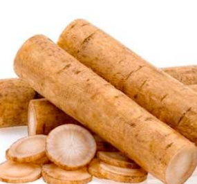 Burdock Powder