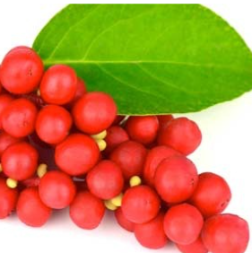 Schisandra Powder