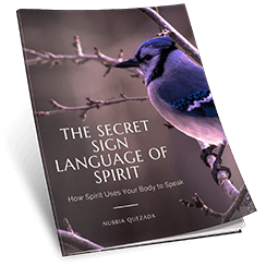 The Soul Bridge Mirace bonus 2